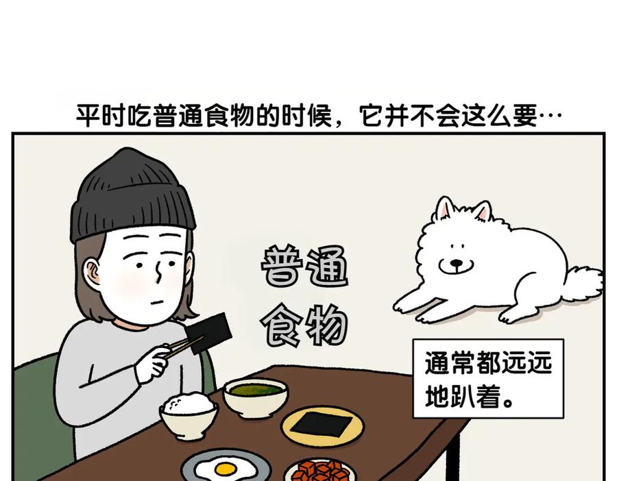 《我的狗子叫棉花》第19话 干净饮食 第42页