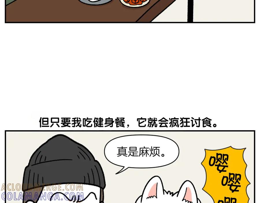 《我的狗子叫棉花》第19话 干净饮食 第43页