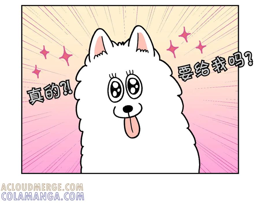《我的狗子叫棉花》第20话 狼的后裔 第22页
