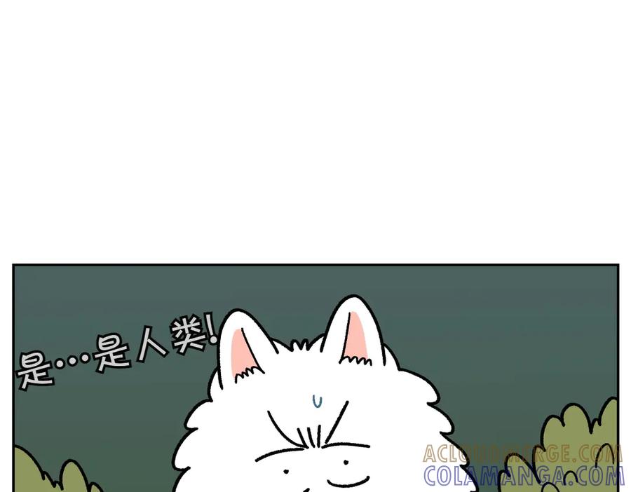 《我的狗子叫棉花》第20话 狼的后裔 第13页
