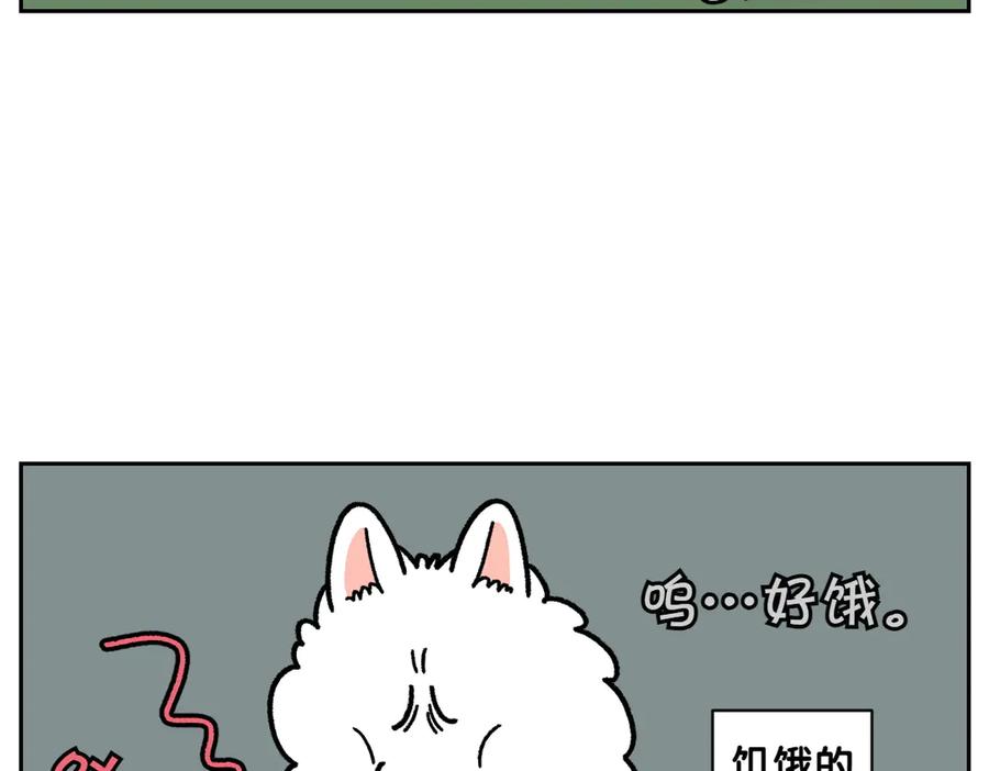 《我的狗子叫棉花》第20话 狼的后裔 第6页