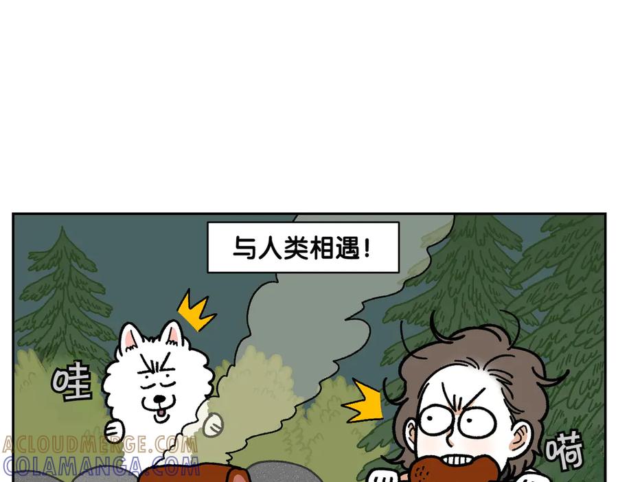 《我的狗子叫棉花》第20话 狼的后裔 第10页