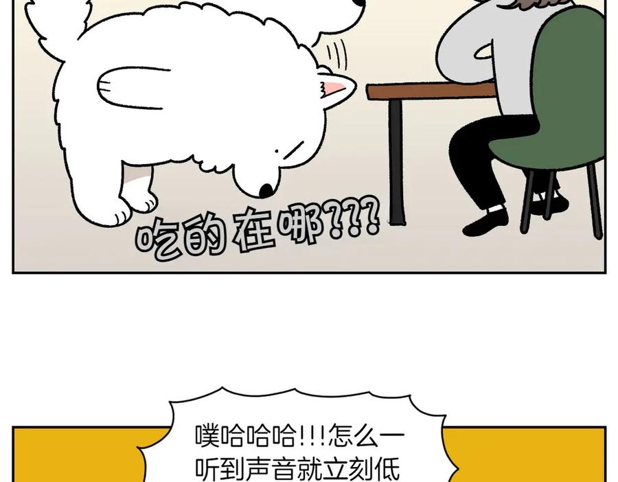 《我的狗子叫棉花》第21话 歪头等待的狗 第45页
