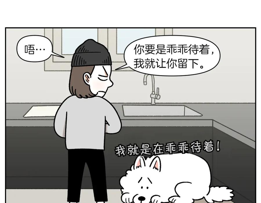 《我的狗子叫棉花》第21话 歪头等待的狗 第11页