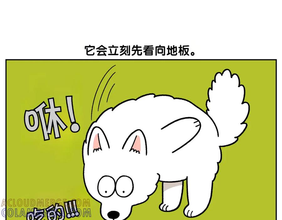 《我的狗子叫棉花》第21话 歪头等待的狗 第43页