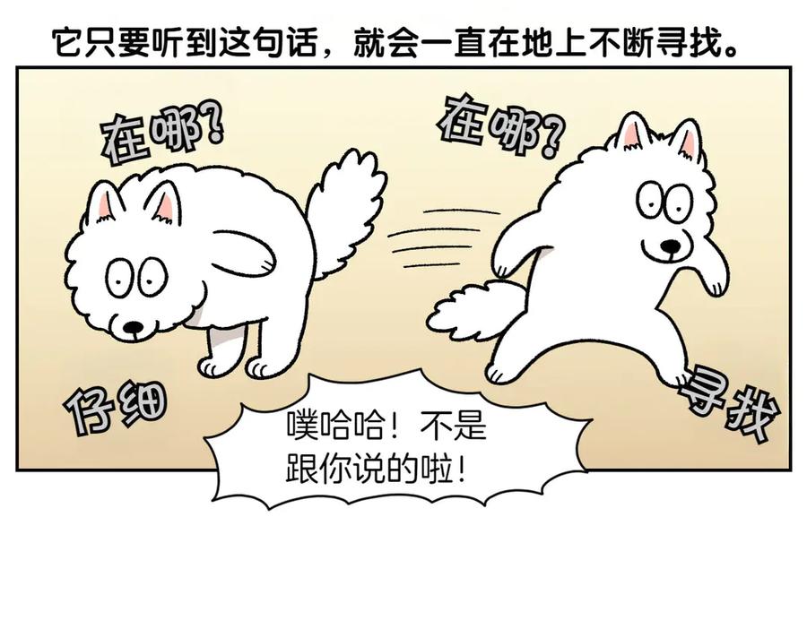 《我的狗子叫棉花》第21话 歪头等待的狗 第35页