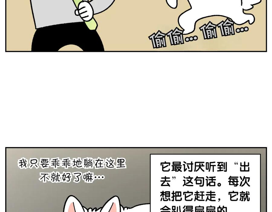 《我的狗子叫棉花》第21话 歪头等待的狗 第9页