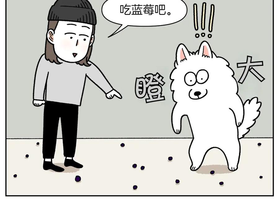 《我的狗子叫棉花》第21话 歪头等待的狗 第27页