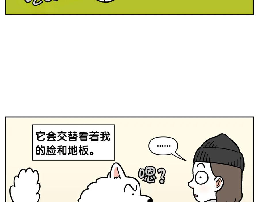《我的狗子叫棉花》第21话 歪头等待的狗 第44页