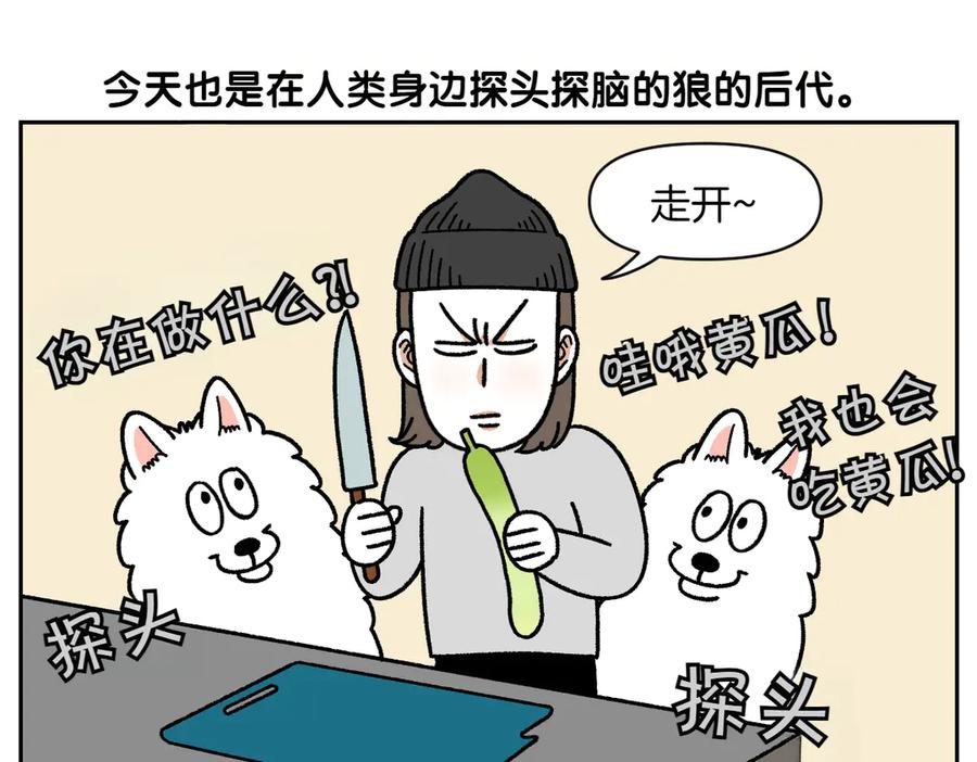 《我的狗子叫棉花》第21话 歪头等待的狗 第5页
