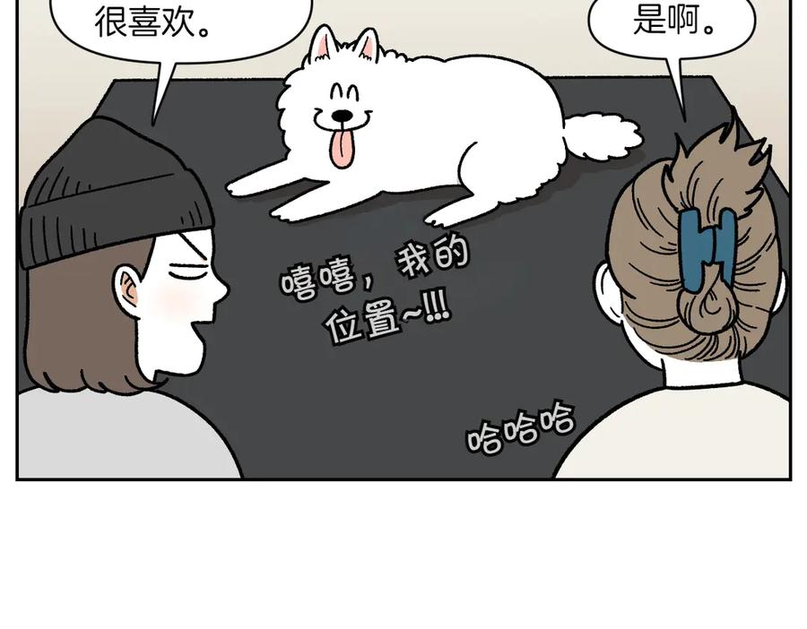《我的狗子叫棉花》第22话 地毯1 第8页