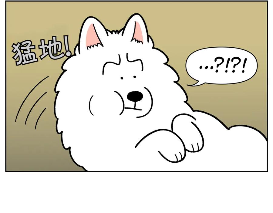 《我的狗子叫棉花》第22话 地毯1 第27页