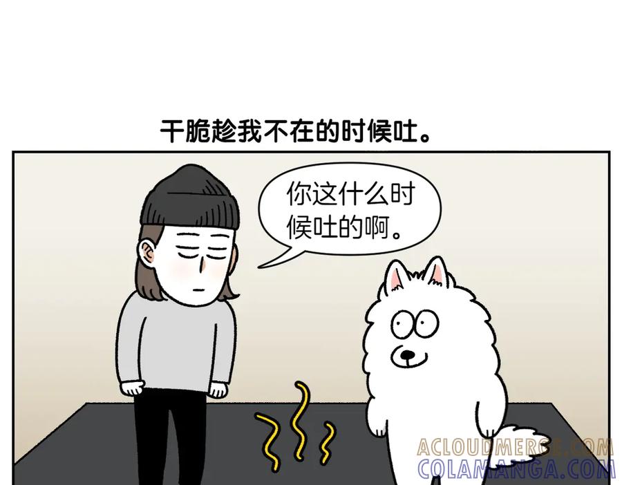 《我的狗子叫棉花》第23话 地毯2 第16页