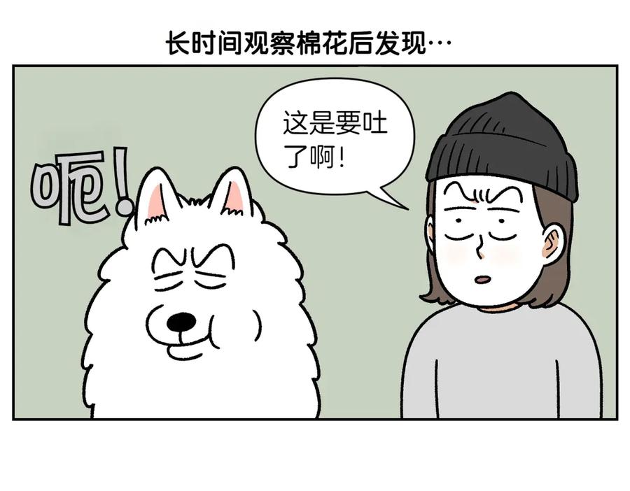 《我的狗子叫棉花》第23话 地毯2 第5页