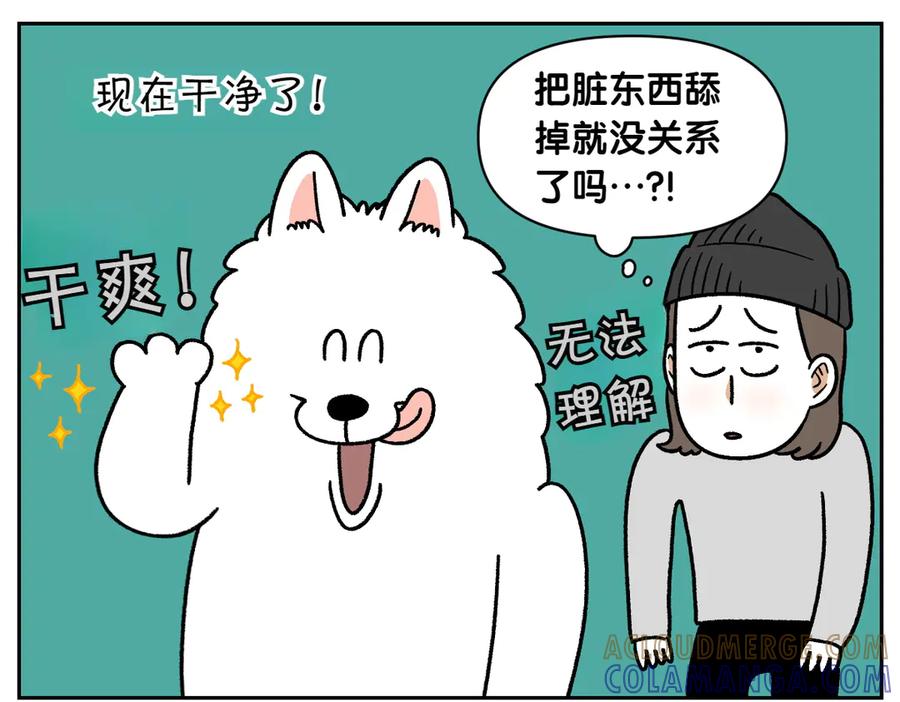 《我的狗子叫棉花》第23话 地毯2 第31页