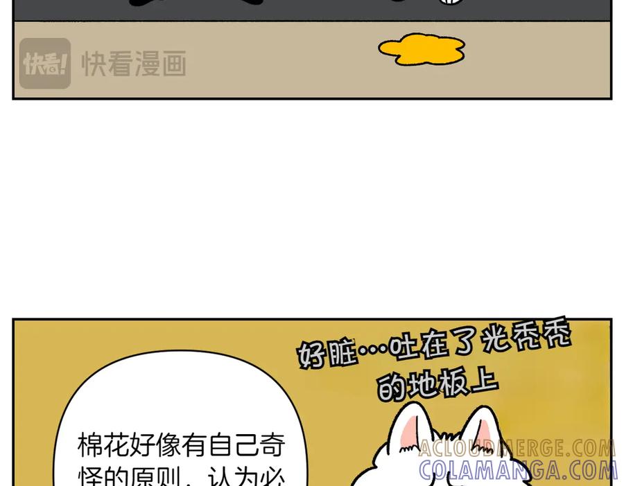 《我的狗子叫棉花》第23话 地毯2 第10页