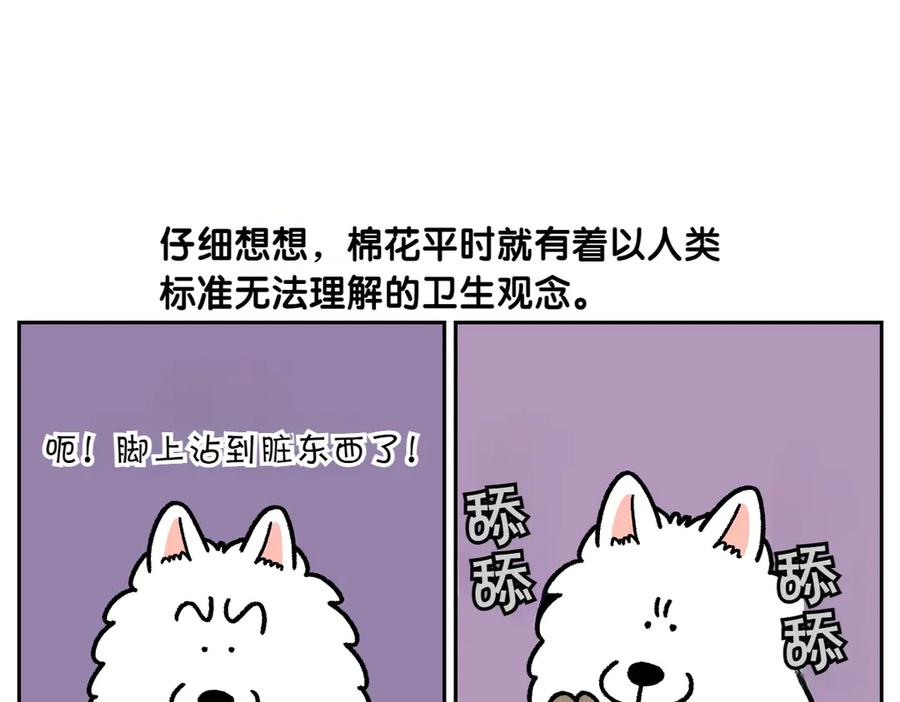 《我的狗子叫棉花》第23话 地毯2 第29页
