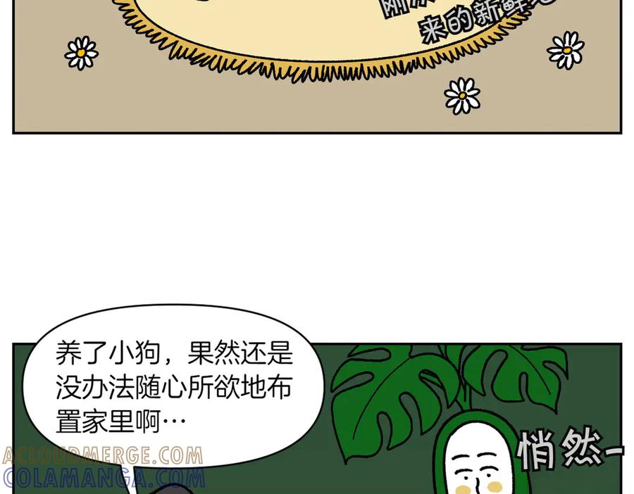 《我的狗子叫棉花》第23话 地毯2 第52页
