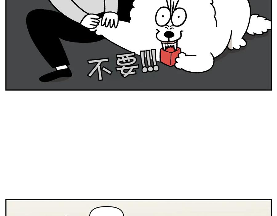 《我的狗子叫棉花》第23话 地毯2 第24页