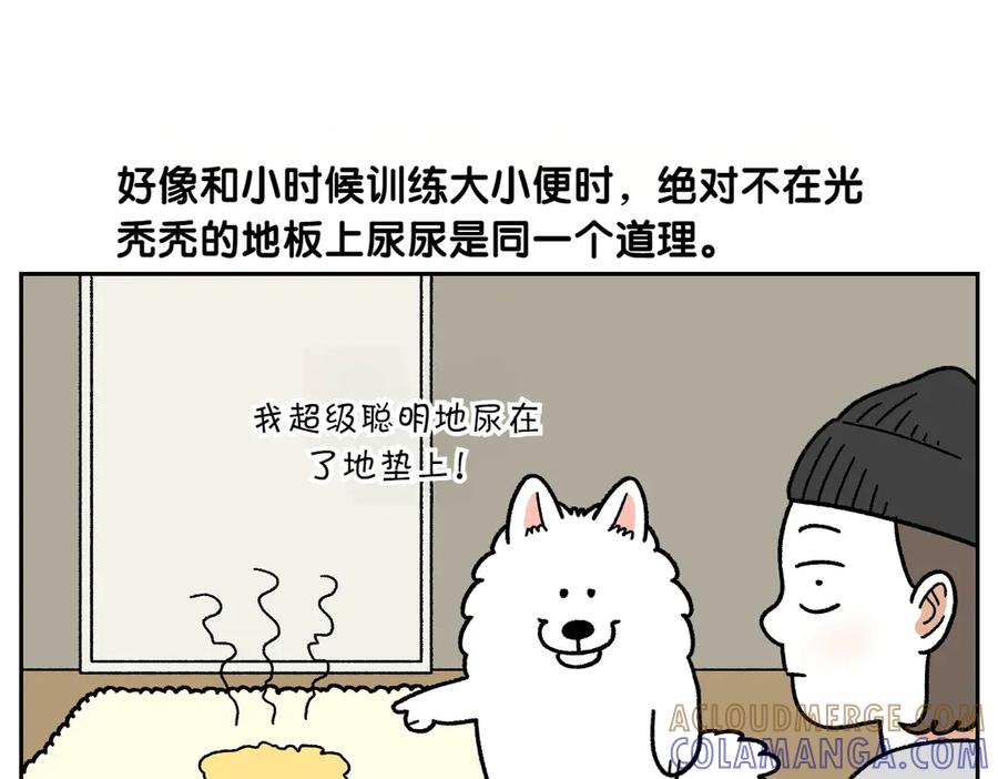 《我的狗子叫棉花》第23话 地毯2 第13页