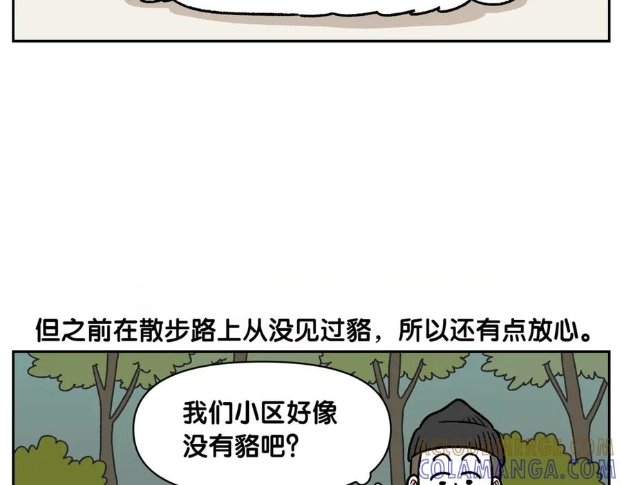 《我的狗子叫棉花》第24话 貉 第13页