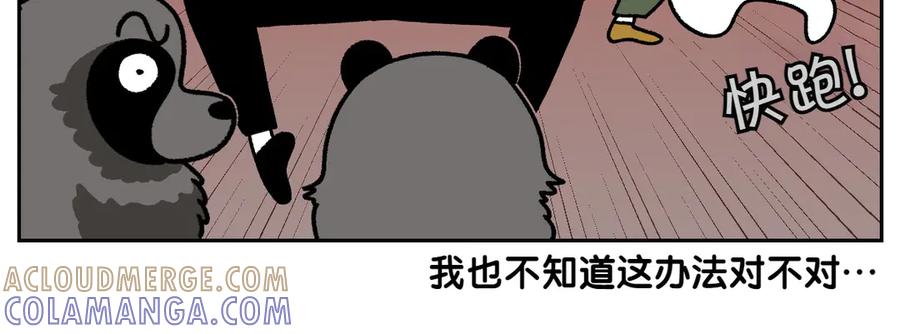 《我的狗子叫棉花》第24话 貉 第34页
