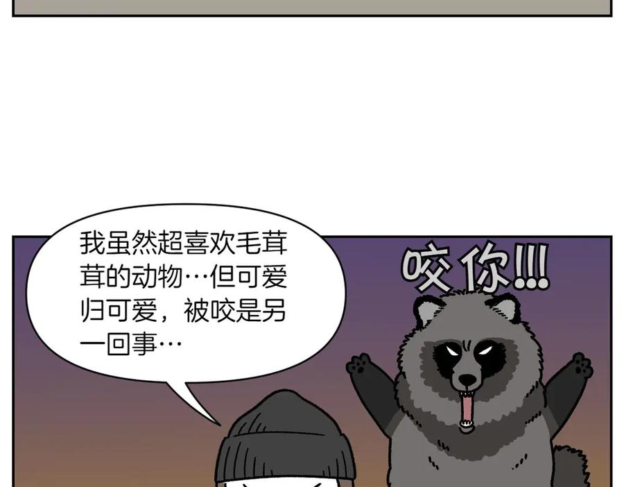 《我的狗子叫棉花》第24话 貉 第44页