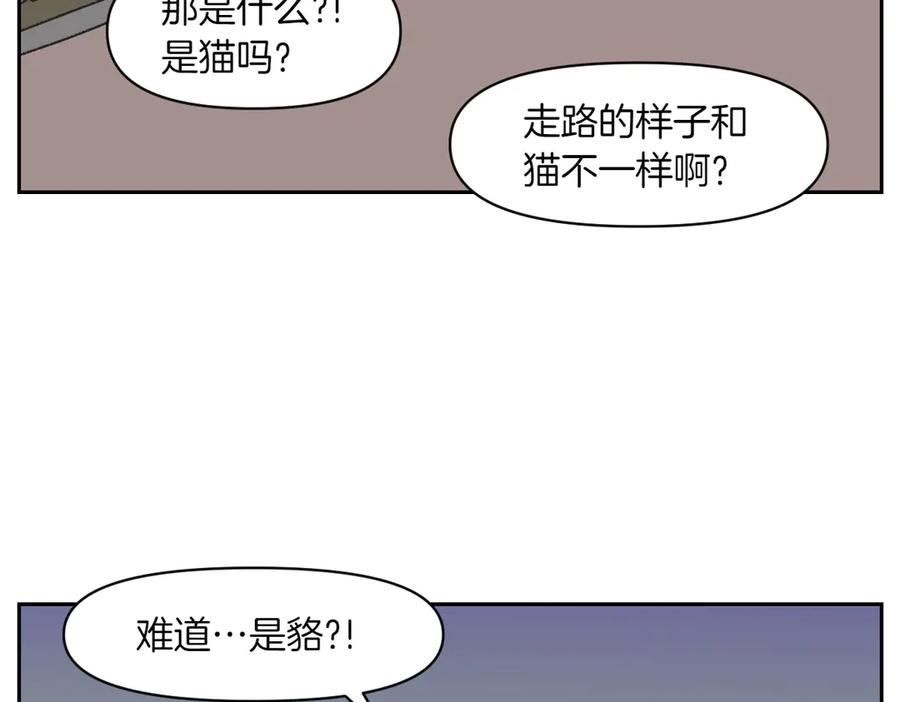 《我的狗子叫棉花》第24话 貉 第17页