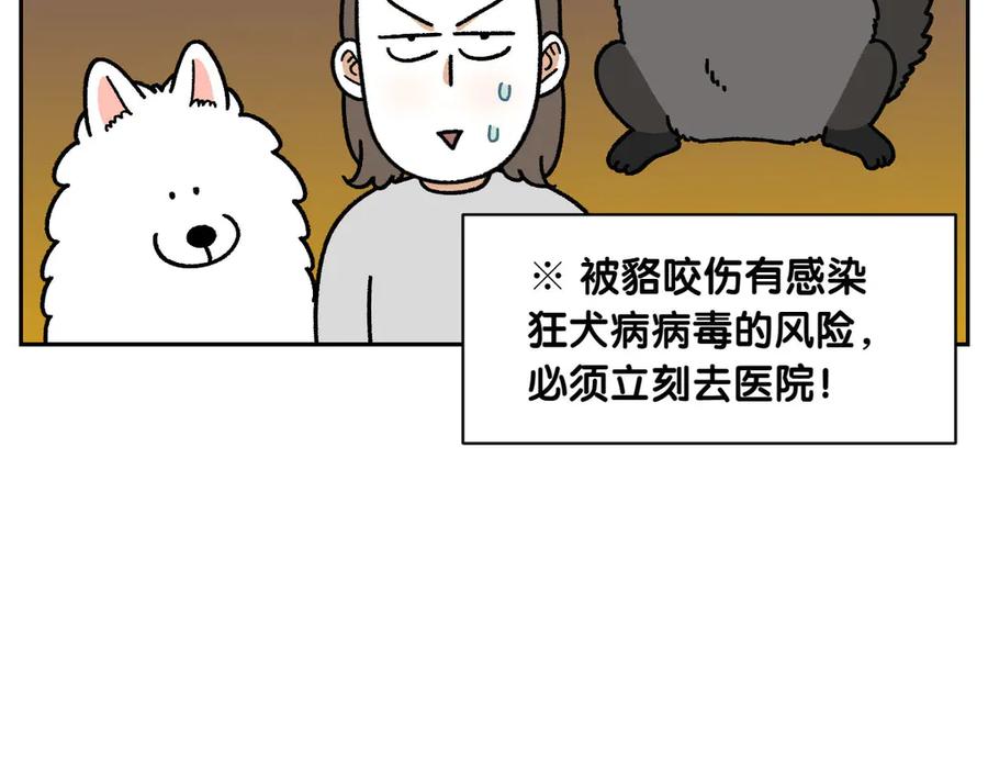 《我的狗子叫棉花》第24话 貉 第45页
