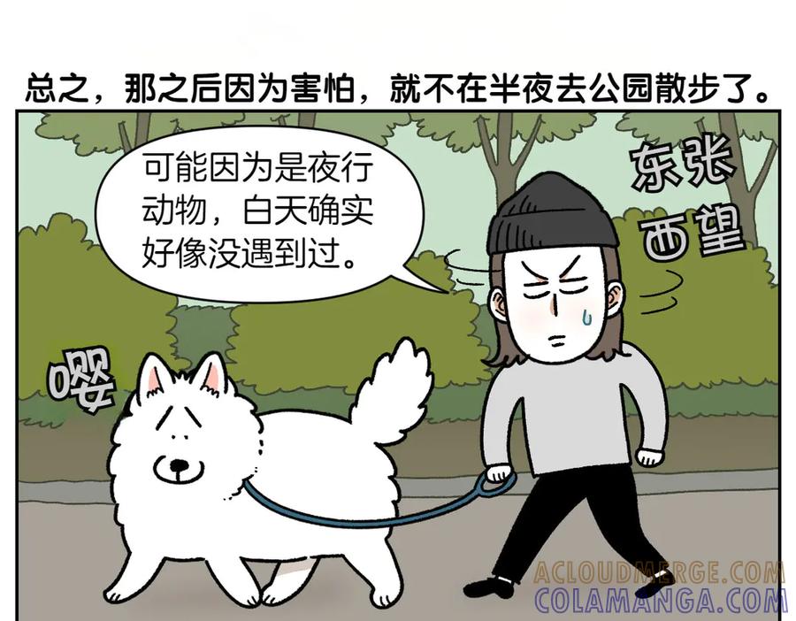 《我的狗子叫棉花》第24话 貉 第43页