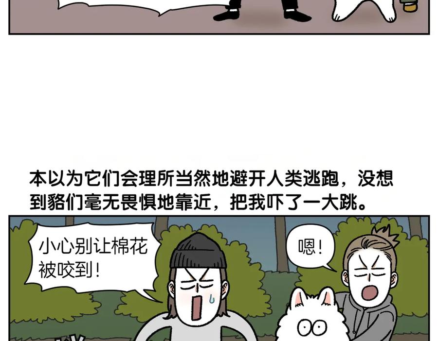 《我的狗子叫棉花》第24话 貉 第30页