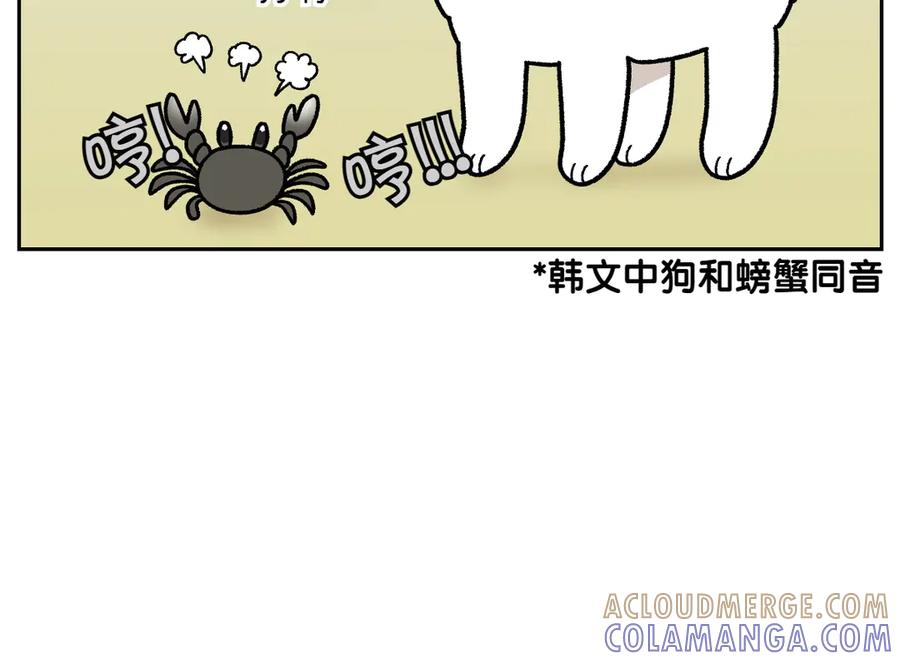 《我的狗子叫棉花》第25话 意想不到的动物朋友们 第19页