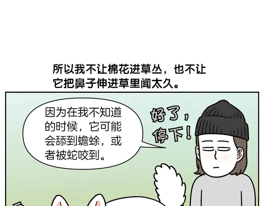 《我的狗子叫棉花》第25话 意想不到的动物朋友们 第48页
