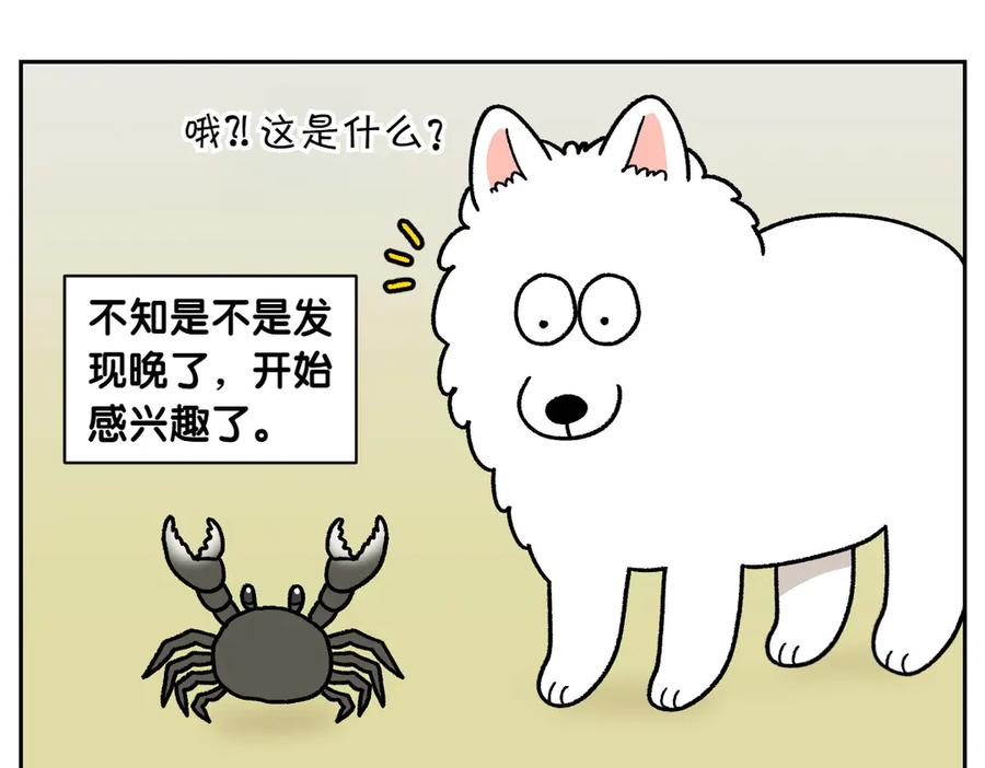 《我的狗子叫棉花》第25话 意想不到的动物朋友们 第20页