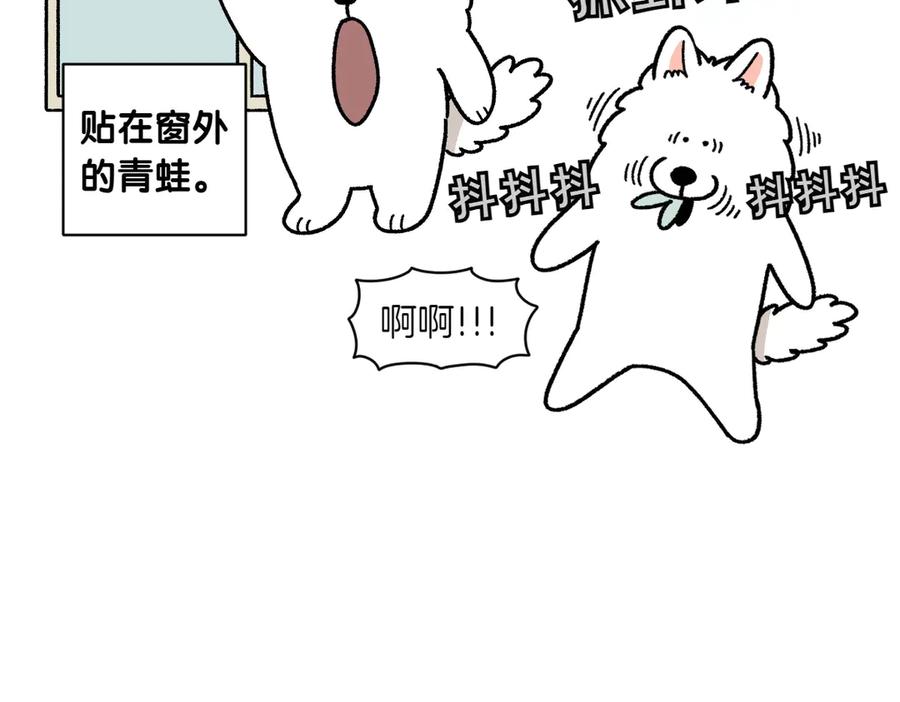 《我的狗子叫棉花》第25话 意想不到的动物朋友们 第17页