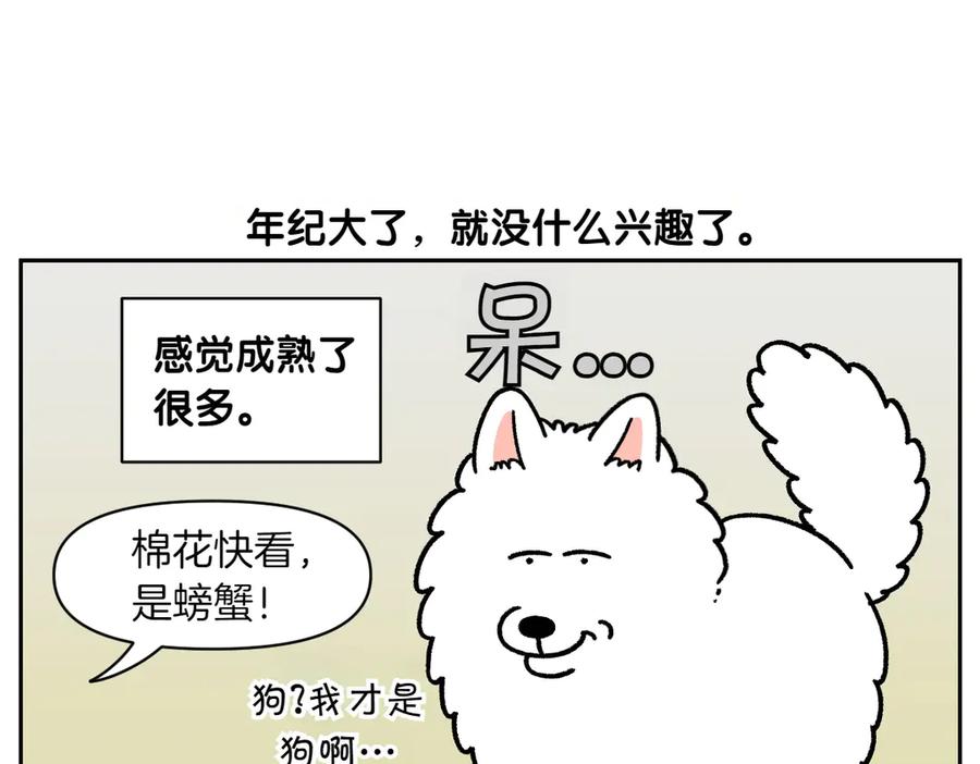 《我的狗子叫棉花》第25话 意想不到的动物朋友们 第18页