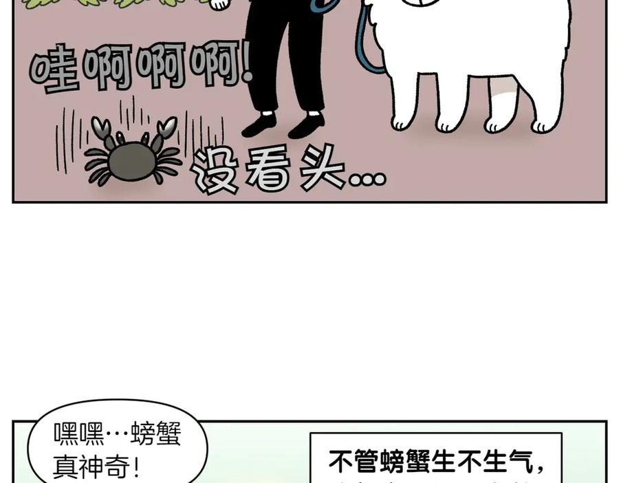 《我的狗子叫棉花》第25话 意想不到的动物朋友们 第14页