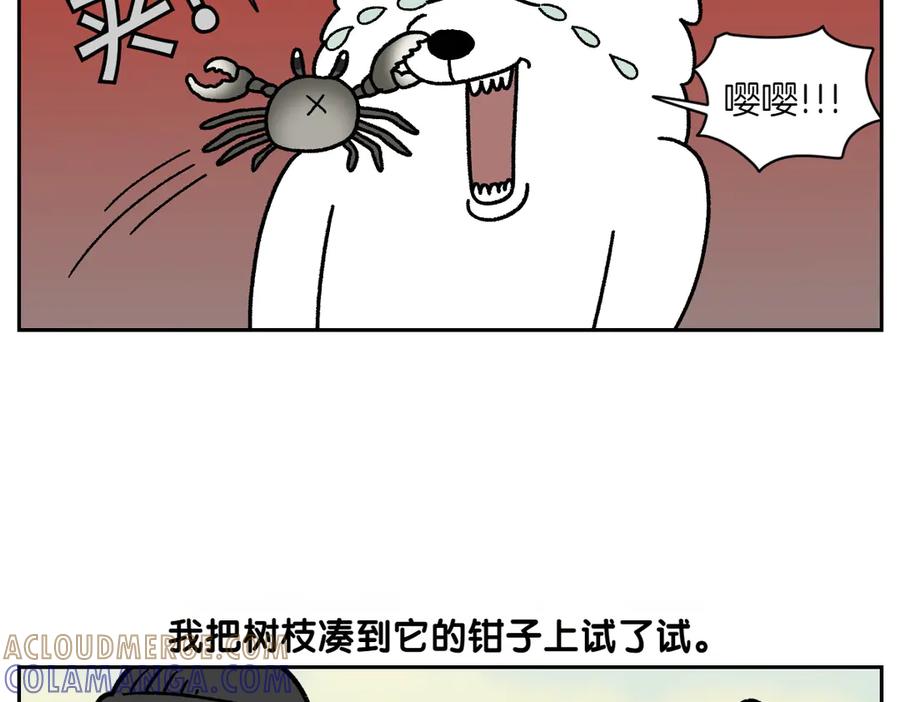 《我的狗子叫棉花》第25话 意想不到的动物朋友们 第25页