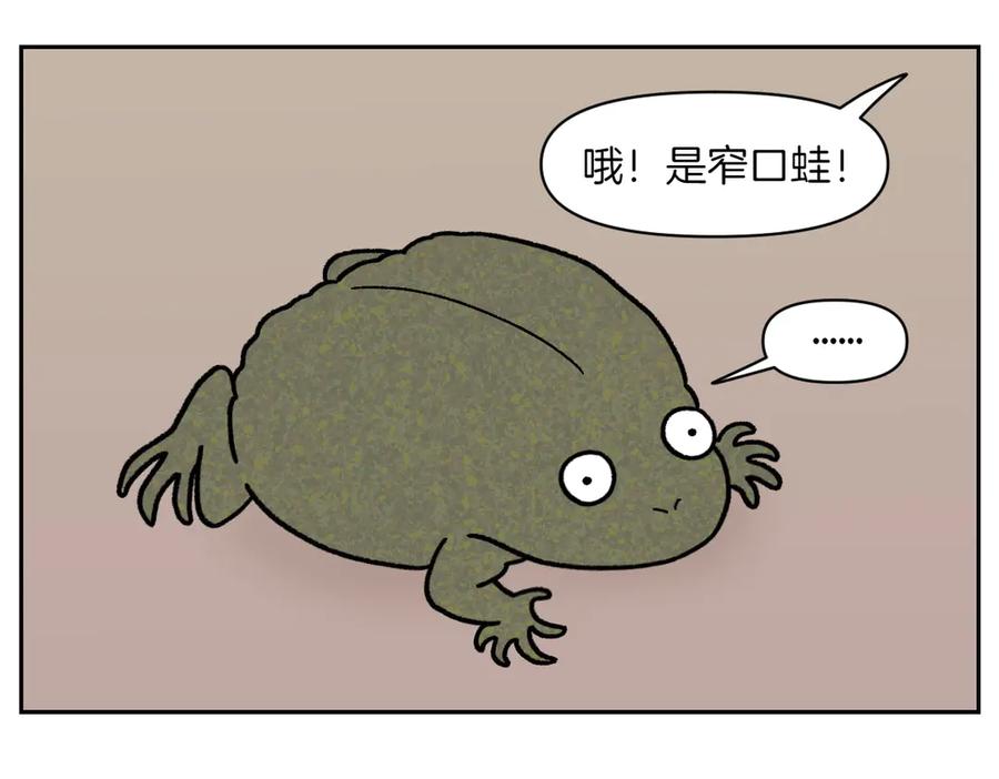 《我的狗子叫棉花》第25话 意想不到的动物朋友们 第32页