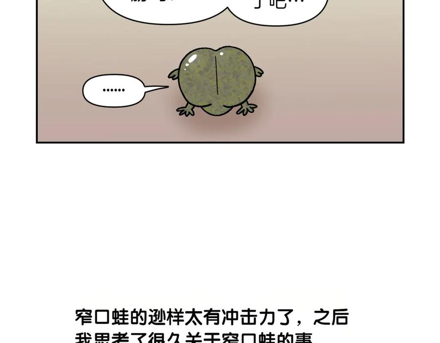 《我的狗子叫棉花》第25话 意想不到的动物朋友们 第38页