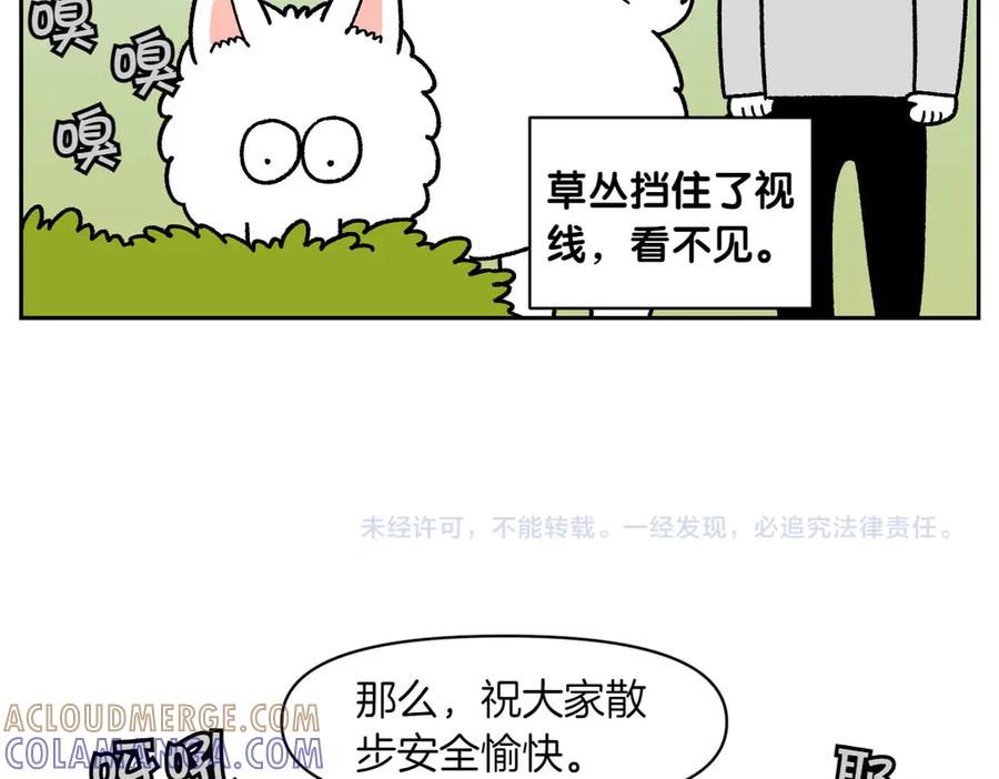 《我的狗子叫棉花》第25话 意想不到的动物朋友们 第49页