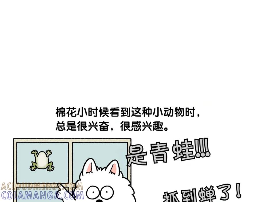 《我的狗子叫棉花》第25话 意想不到的动物朋友们 第16页