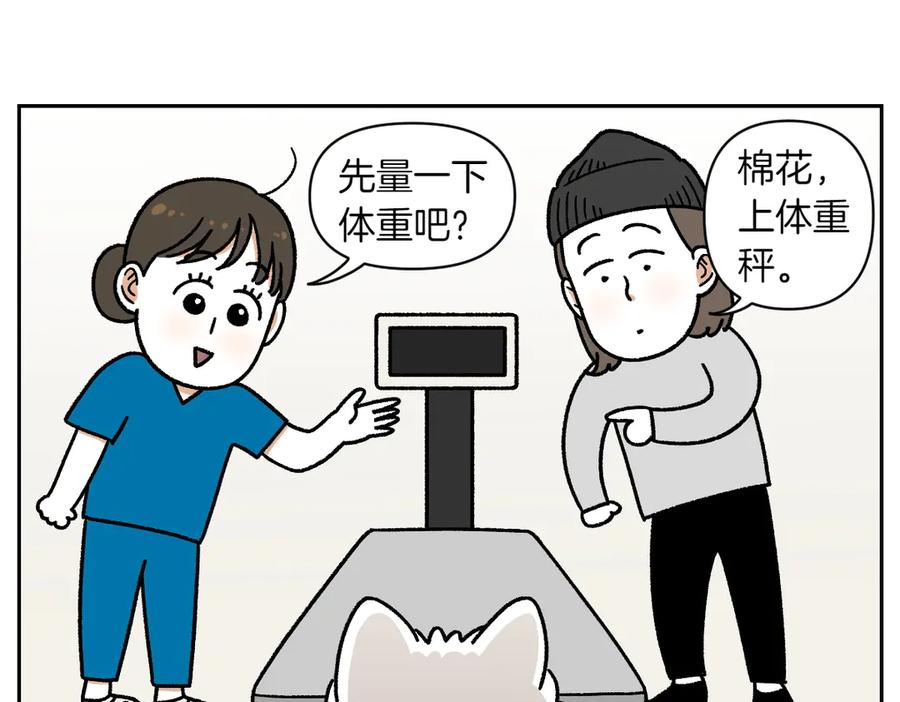 《我的狗子叫棉花》第26话 动物医院 第26页