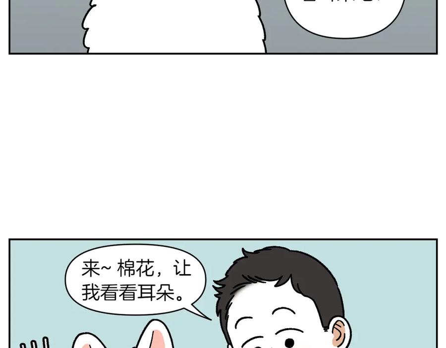 《我的狗子叫棉花》第26话 动物医院 第47页