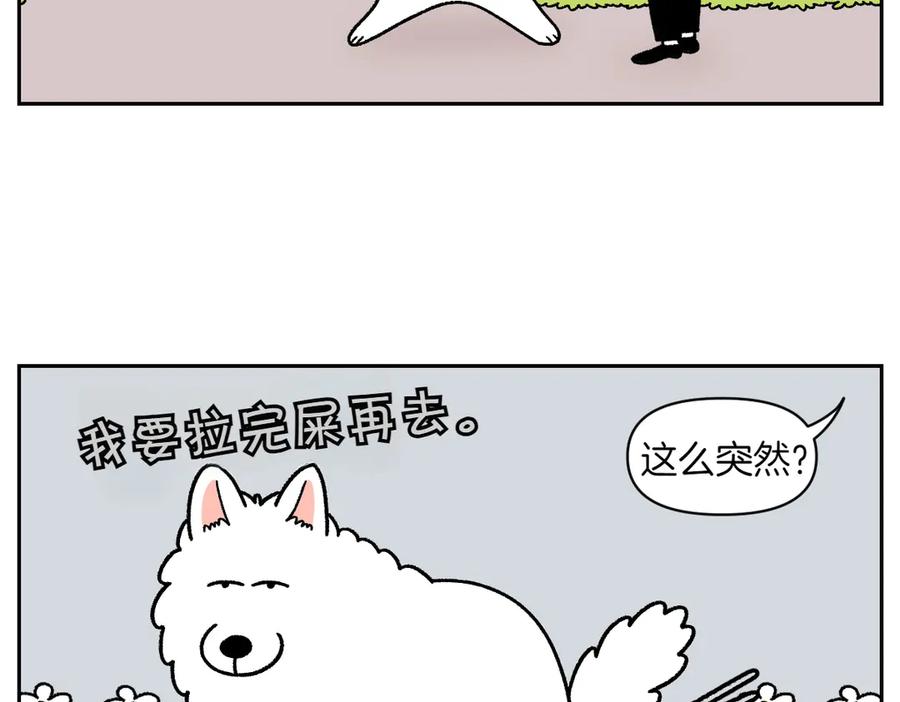 《我的狗子叫棉花》第26话 动物医院 第20页