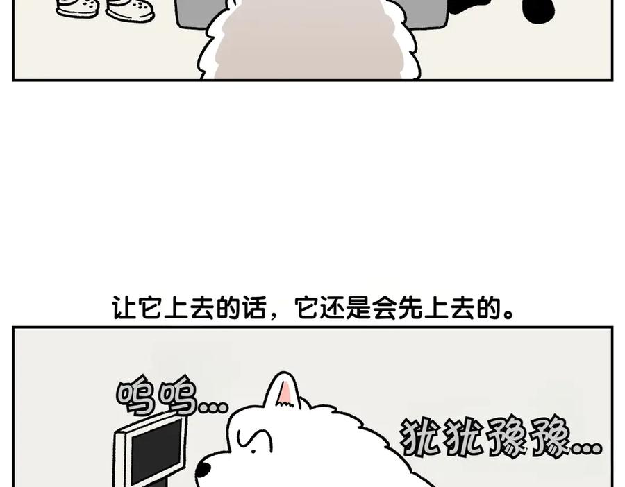 《我的狗子叫棉花》第26话 动物医院 第27页