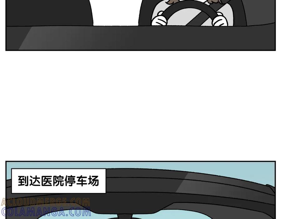 《我的狗子叫棉花》第26话 动物医院 第10页