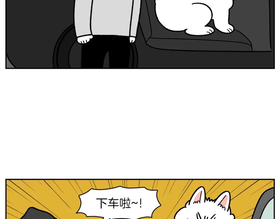 《我的狗子叫棉花》第26话 动物医院 第14页