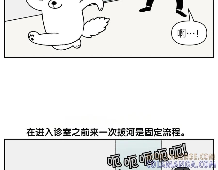 《我的狗子叫棉花》第26话 动物医院 第43页