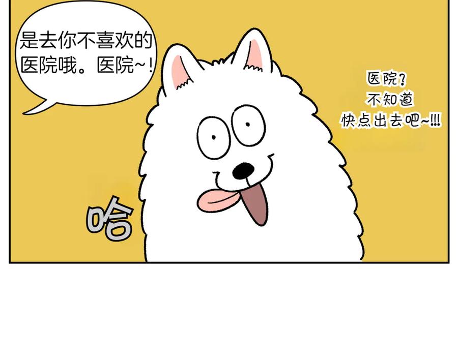 《我的狗子叫棉花》第26话 动物医院 第8页